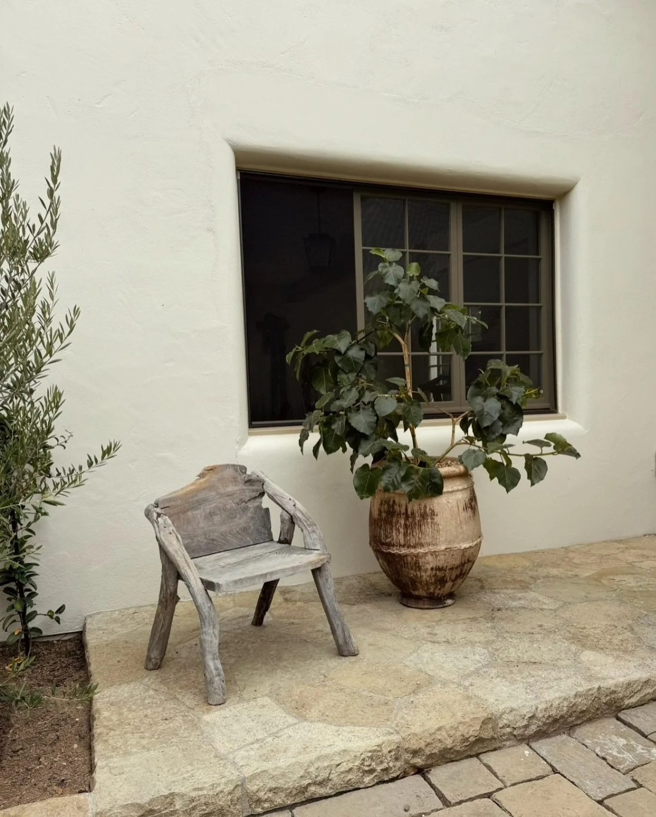 This Mexican rock fig was the cherry on top for this Montecito home. Planted in this stunning aged vessel to frame the window, it becomes a living vignette. Just as beautiful from the inside as it is out. 🖼️

Designed by a dear client and collaborat