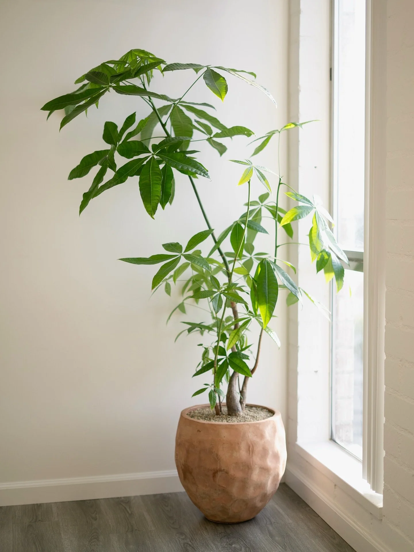 It&rsquo;s really special when we&rsquo;re hired by other folks who are building something of their own. There&rsquo;s a quiet sense of pride, a shared respect in supporting one another, especially as Latina women creating space in rooms where we&rsq