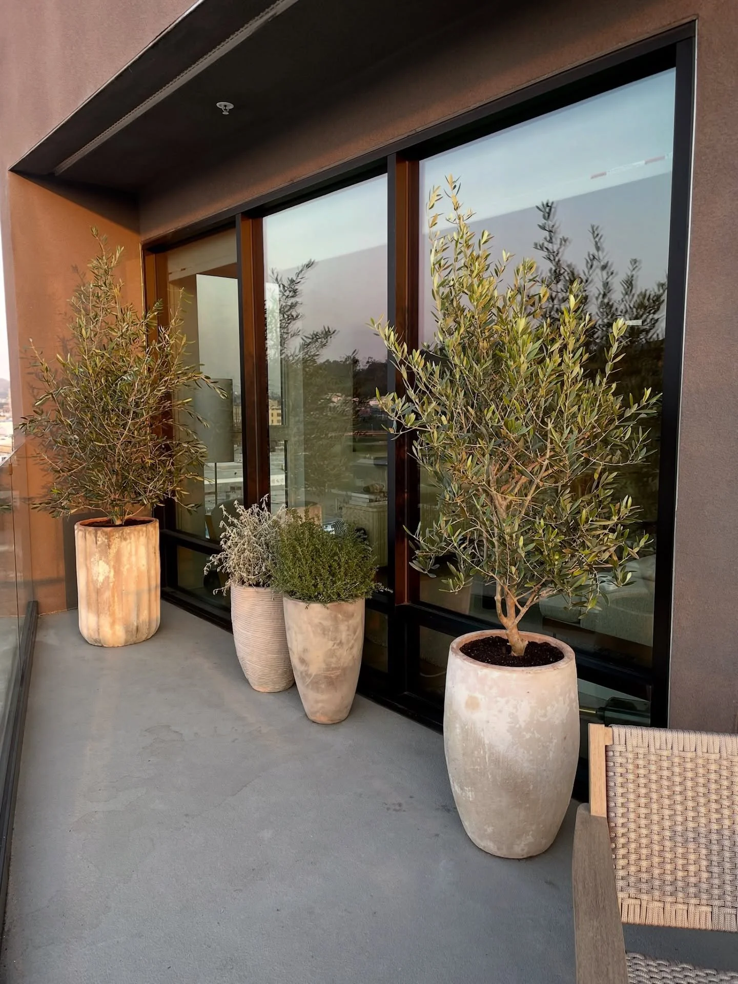 Before: a city balcony.
After: something quieter.

Olive trees, rosemary, and sage were placed with intention along the windows, so the view feels grounded from the inside. And from the main street below, the balcony stands out as lived-in and alive.