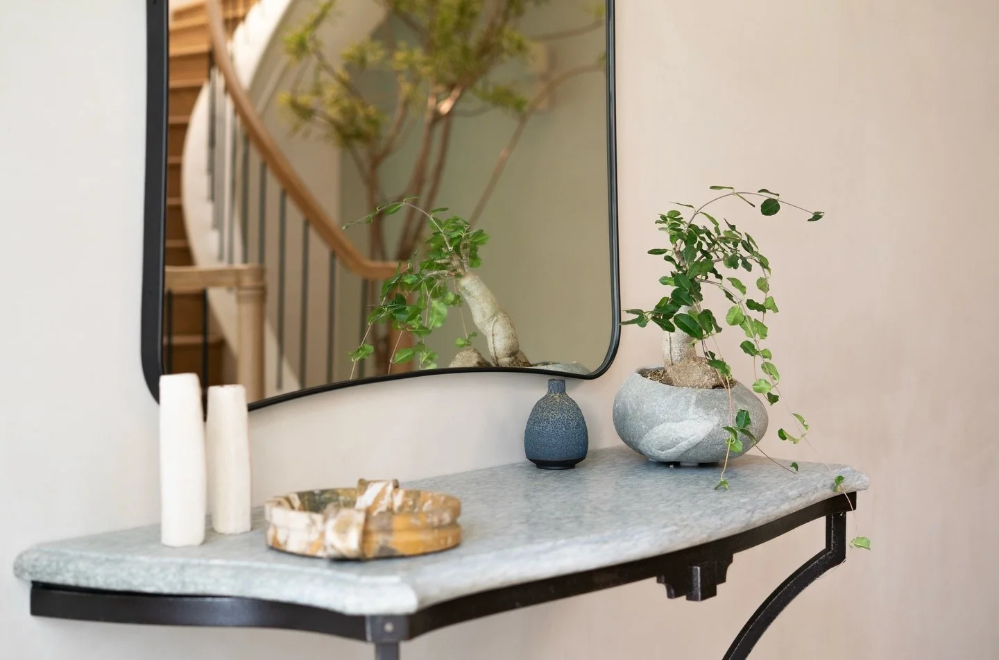 Not all statement plants have to be large.

This fockea sits pretty on the landing, welcoming you in with its sculptural shape. A small moment that makes a big impact.

We believe every space deserves that kind of intention, big or small. ✨