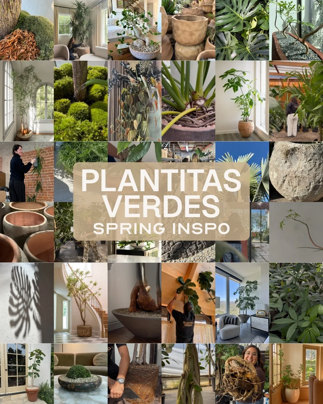 This is the vibe we&rsquo;re stepping into this spring 🌱

The quiet textures, in-between moments, terracotta, stone, and lots of green of course. 

What&rsquo;s inspiring you this spring?