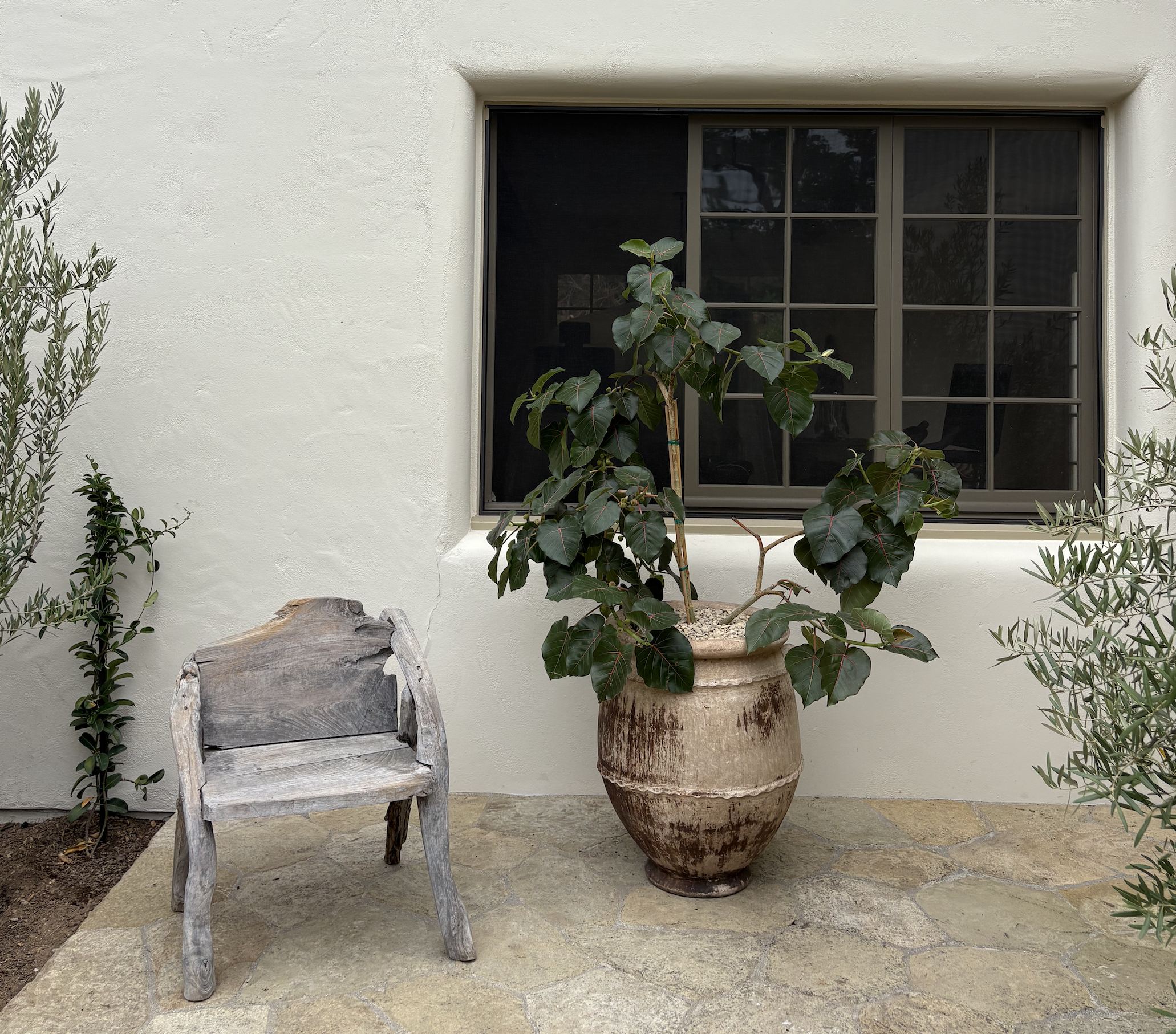 How to Safely Stake Up Plants Needing Extra Support