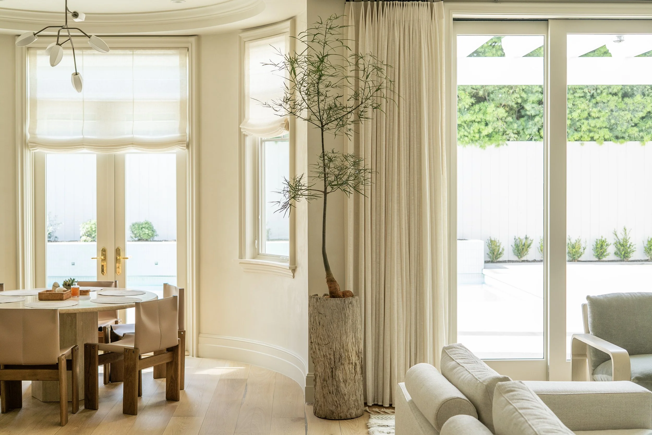 Brachychition, Santa Monica