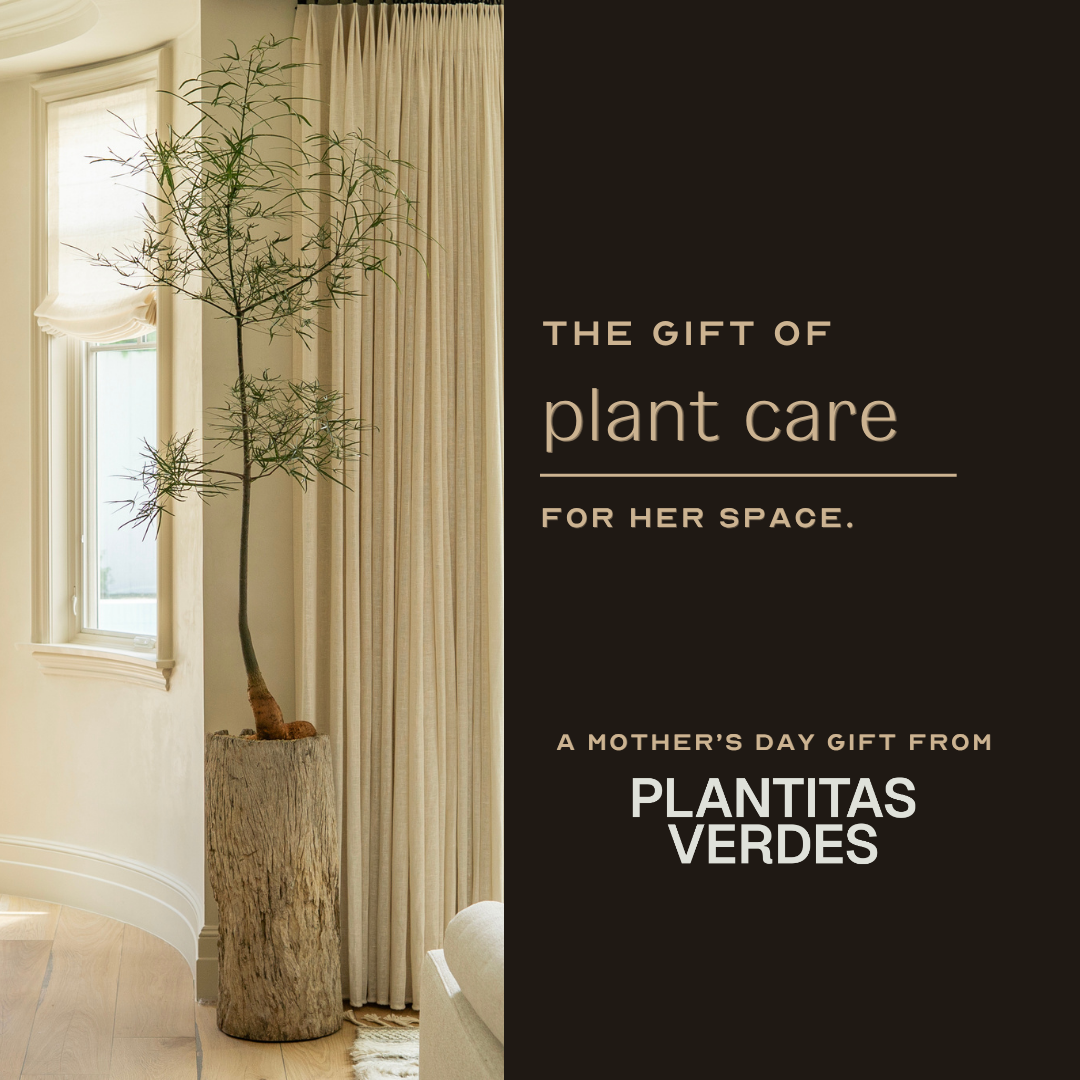 MOTHERS DAY CAROUSEL (1080 x 1440 px) (2).png