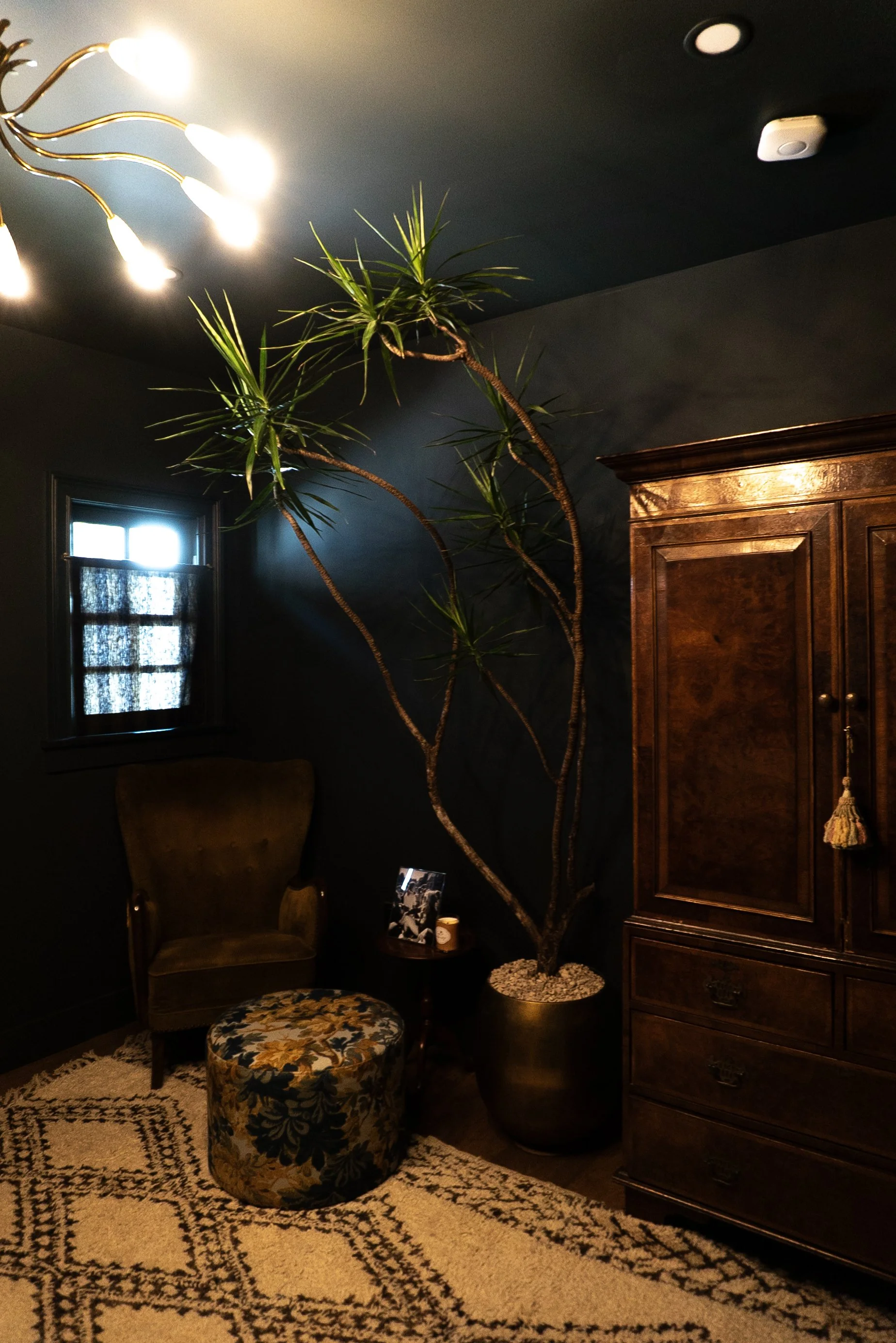 DSC06673.ARW _ copy.jpg