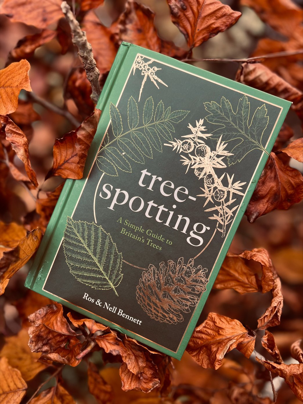 tresspostting autumn.jpeg