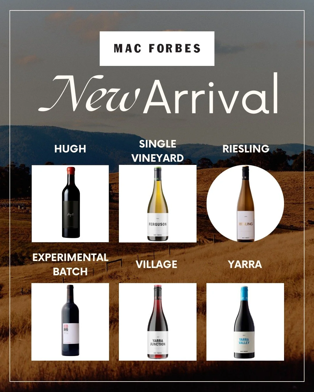 🍷 𝐈𝐜𝐨𝐧𝐢𝐜 𝐌𝐚𝐜 𝐅𝐨𝐫𝐛𝐞𝐬 &mdash; 𝐉𝐮𝐬𝐭 𝐋𝐚𝐧𝐝𝐞𝐝 🍷

Mac Forbes is one of the most exciting names in Australian wine, and we&rsquo;re thrilled to finally have these bottles in Singapore. After learning his craft at legendary Mount Ma