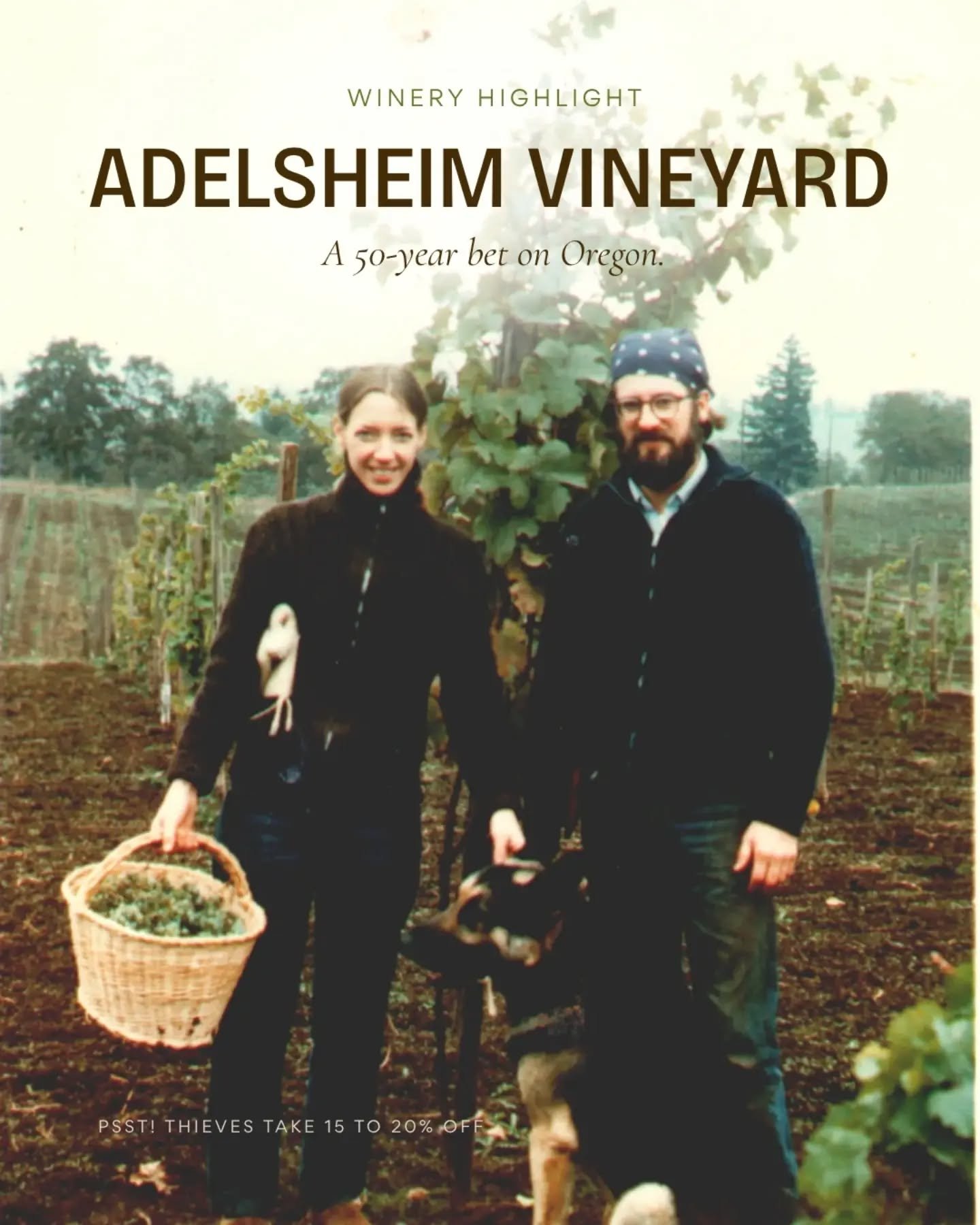 In 1971, David and Ginny Adelsheim planted Pinot Noir outside Newberg &mdash; before Oregon had figured out it could grow. Fifty years later, the Chehalem Mountains is one of the most respected addresses in American Pinot, and Adelsheim helped write 