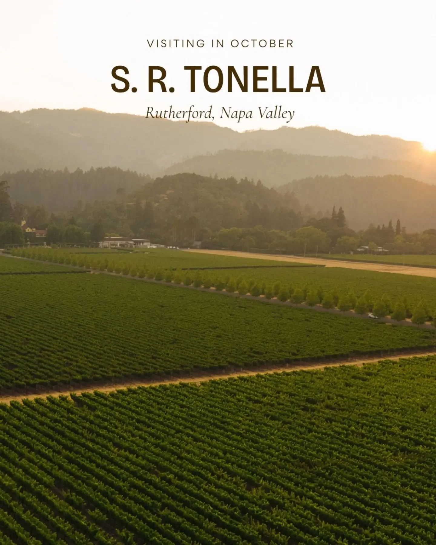 Four generations of Tonellas farmed Rutherford fruit and sold it to other people's wineries. Steve was the first to keep it.

Joseph Ponti came over from Italy after the 1906 earthquake and ended up at Beaulieu, staying 43 years &mdash; long enough t