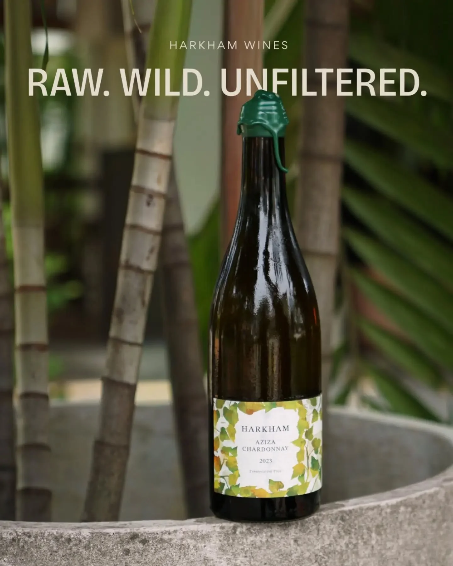 Richie Harkham does very little to his wines, and that's the point. Wild ferments, no fining, no filtration, and around 20,000 bottles a year from a small winery in the Hunter Valley.

The Aziza Chardonnay is named for his grandmother, who made wine 
