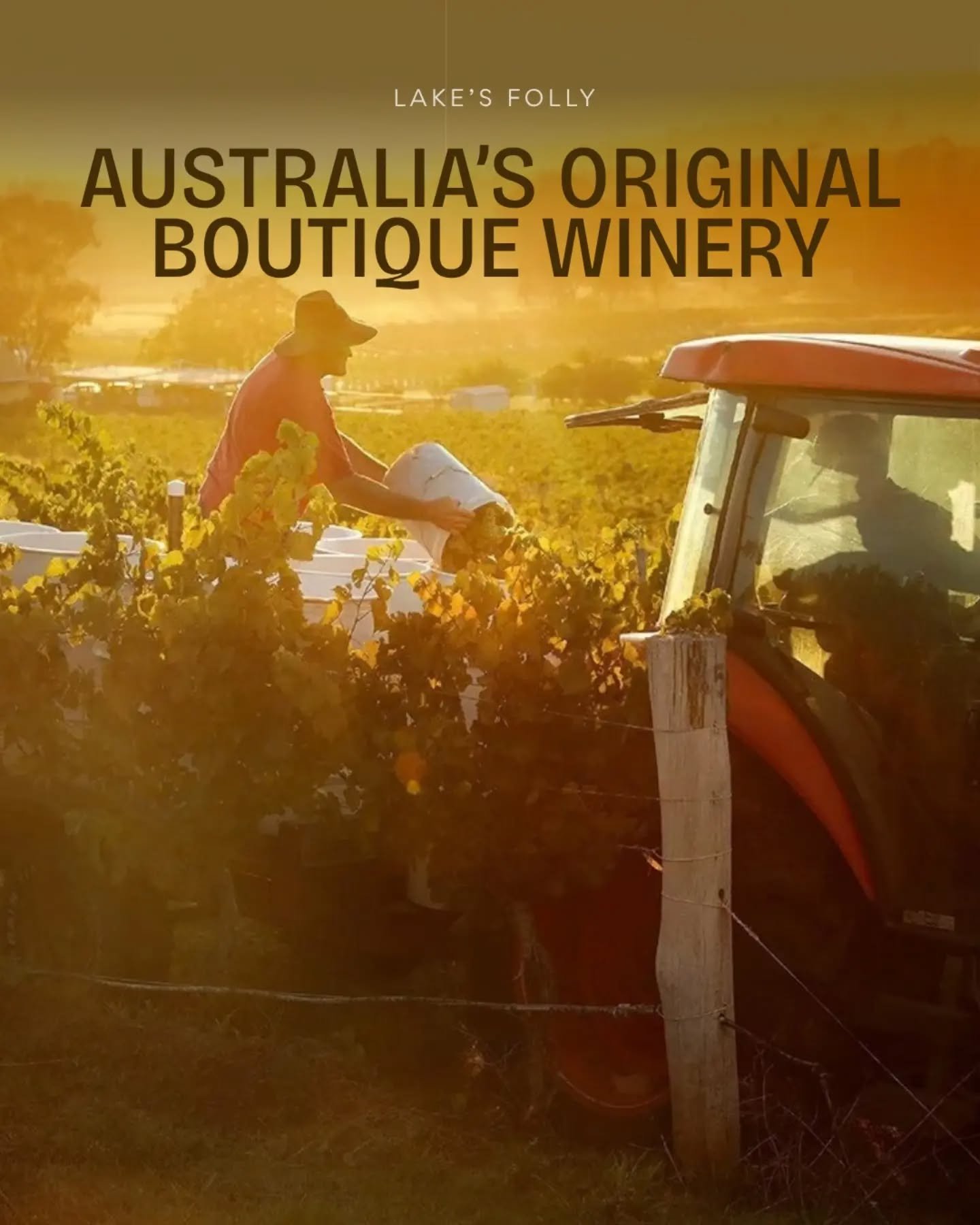 Third Hunter producer in a row, and the oldest by a long way.

In 1963 a Sydney hand surgeon planted Cabernet in the Hunter Valley. The industry thought it was a mistake, and the name they gave it stuck.

Sixty years on, same vineyard, same two wines