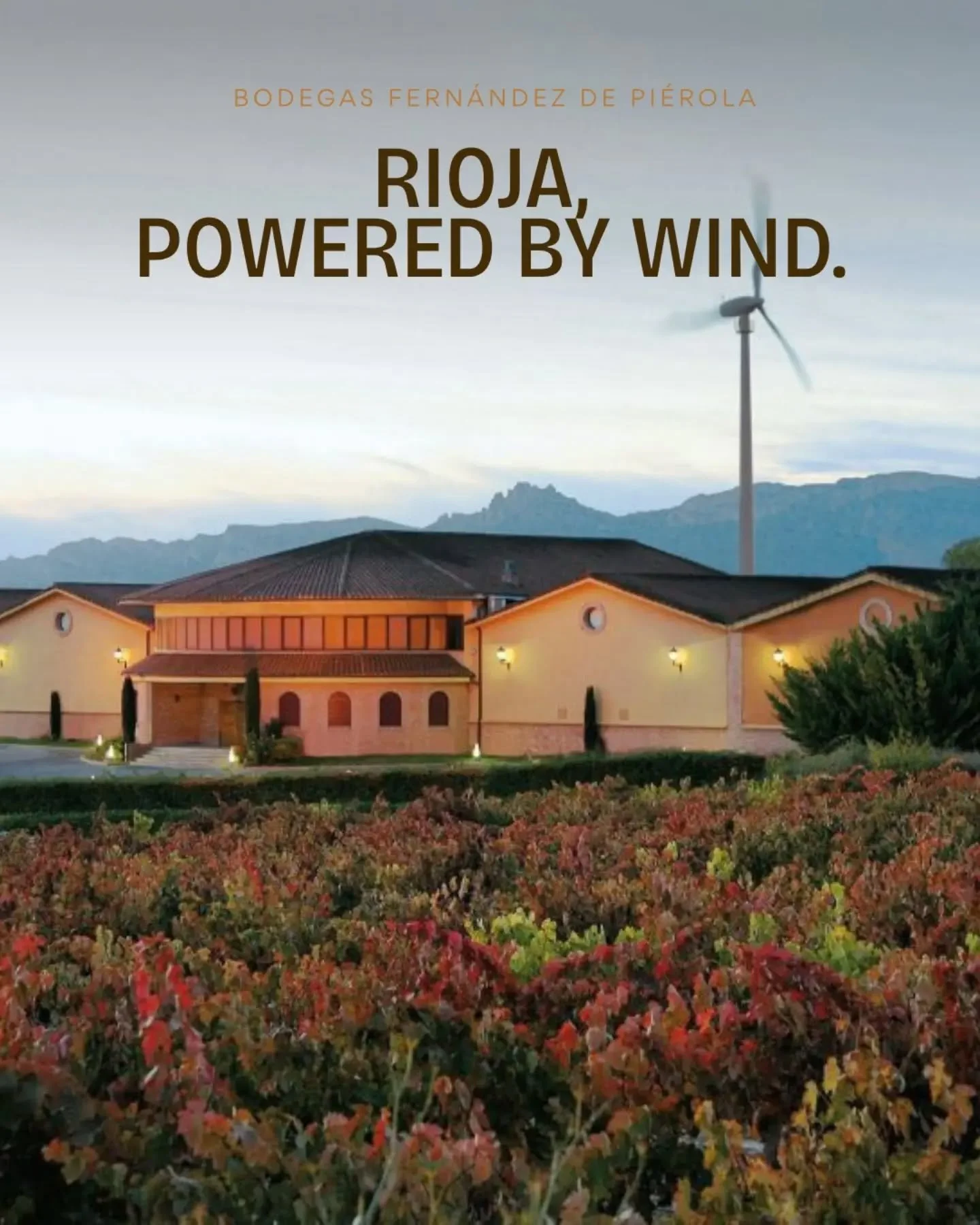 You don't expect the first thing you notice at a Rioja bodega to be a wind turbine.

It stands over the vineyard at Moreda and generates roughly twice the power the winery needs &mdash; the surplus goes back to the grid. Carlos Bujanda, who founded t