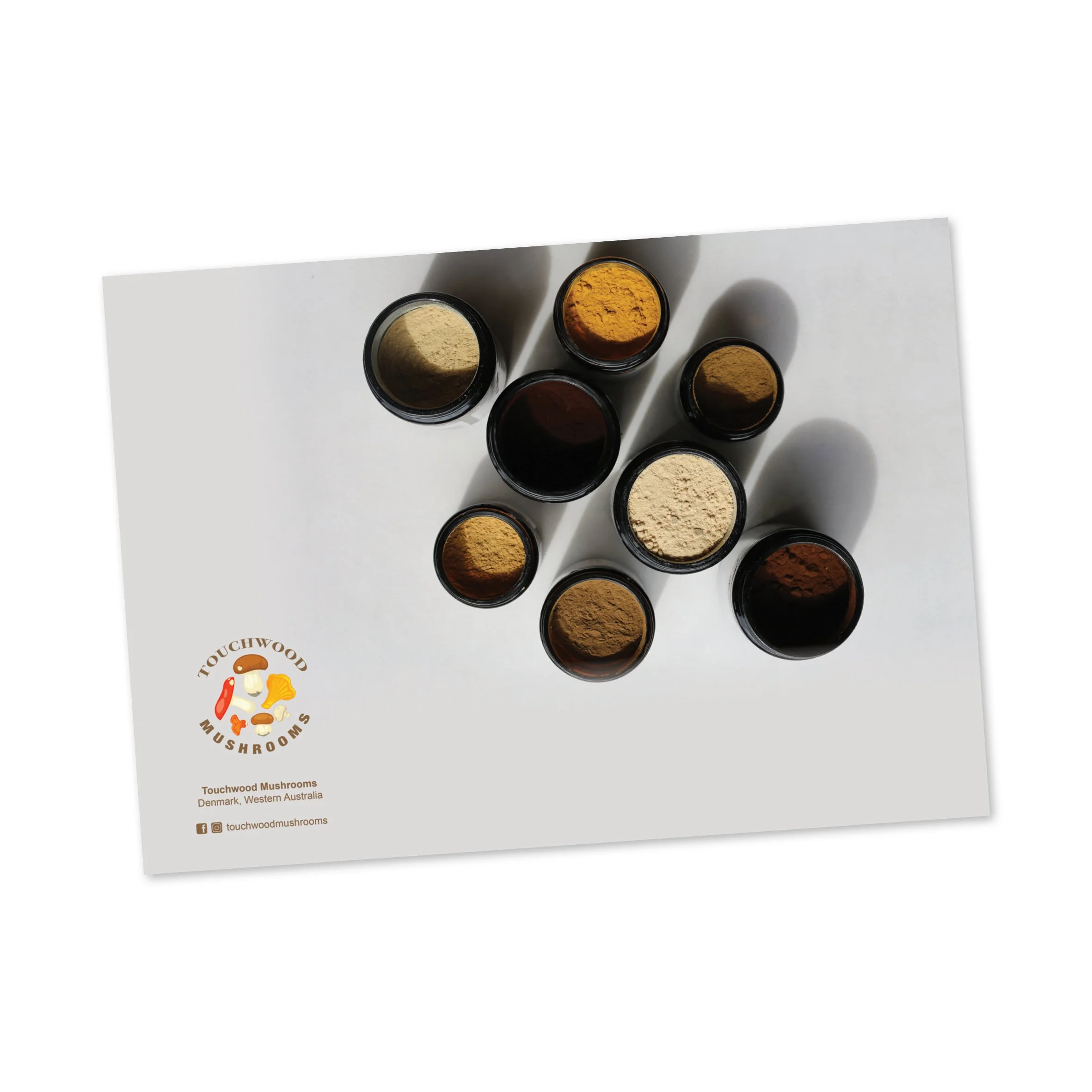 Touchwood Mushrooms Style Guide Pages9.jpg