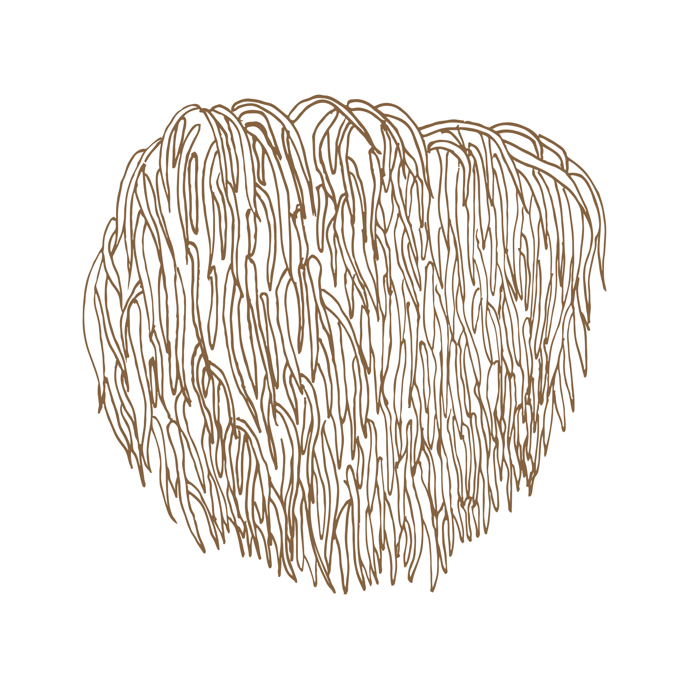 Mushroom Graphic - Lions Mane.png