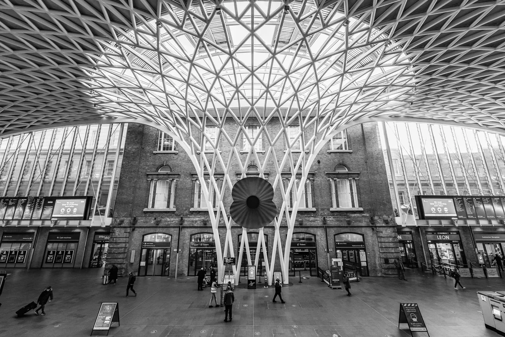 04 November 10-51-36.jpeg