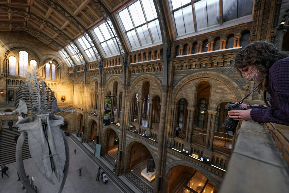 04 November 14-20-44.jpeg