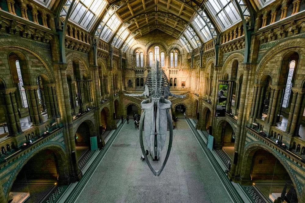 04 November 14-15-06.jpeg