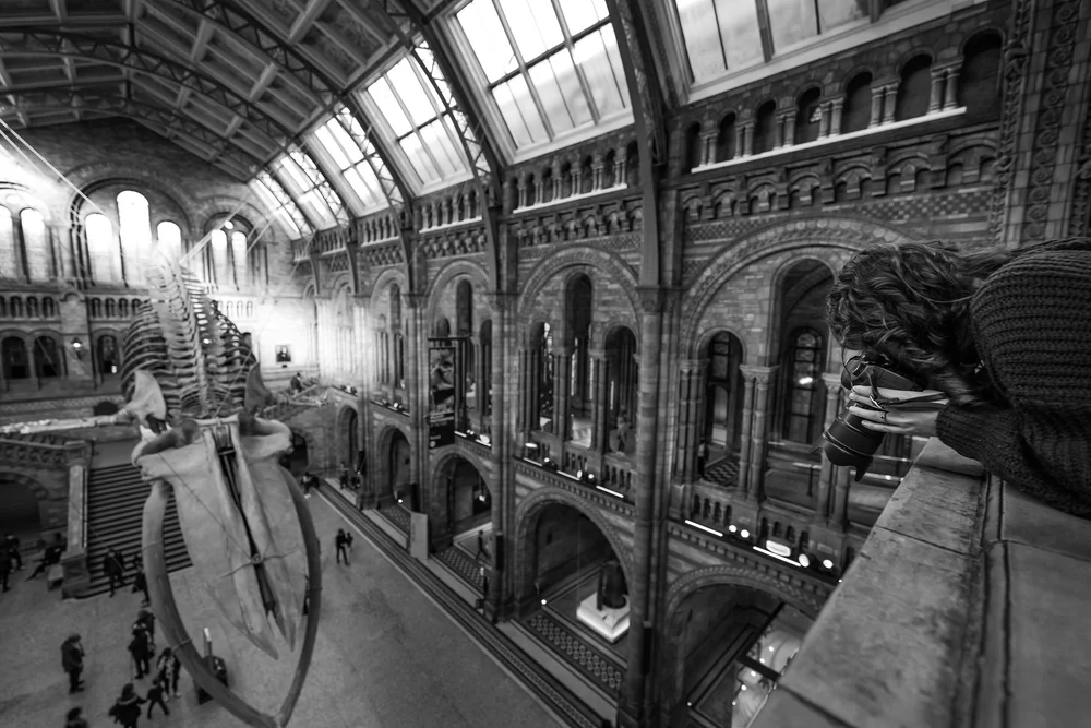 04 November 14-20-55-2.jpeg