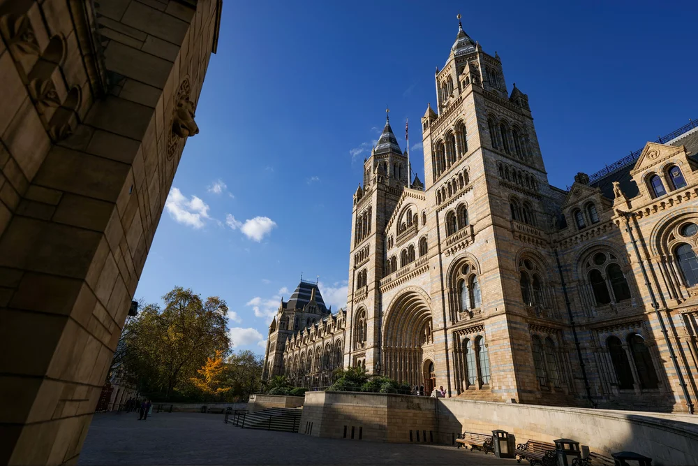 04 November 14-34-30.jpeg