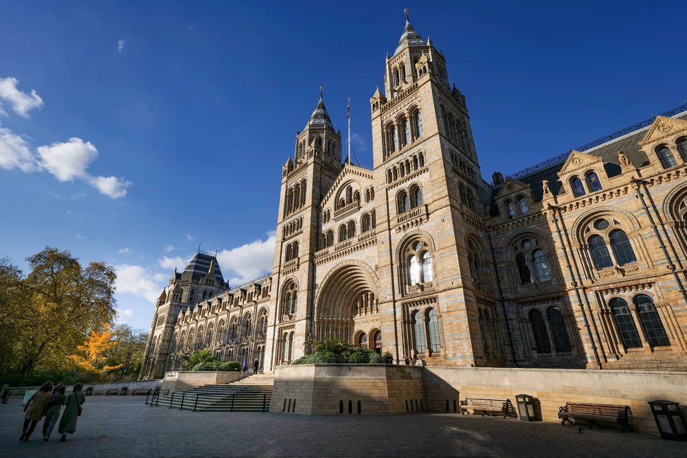 04 November 14-35-48.jpeg