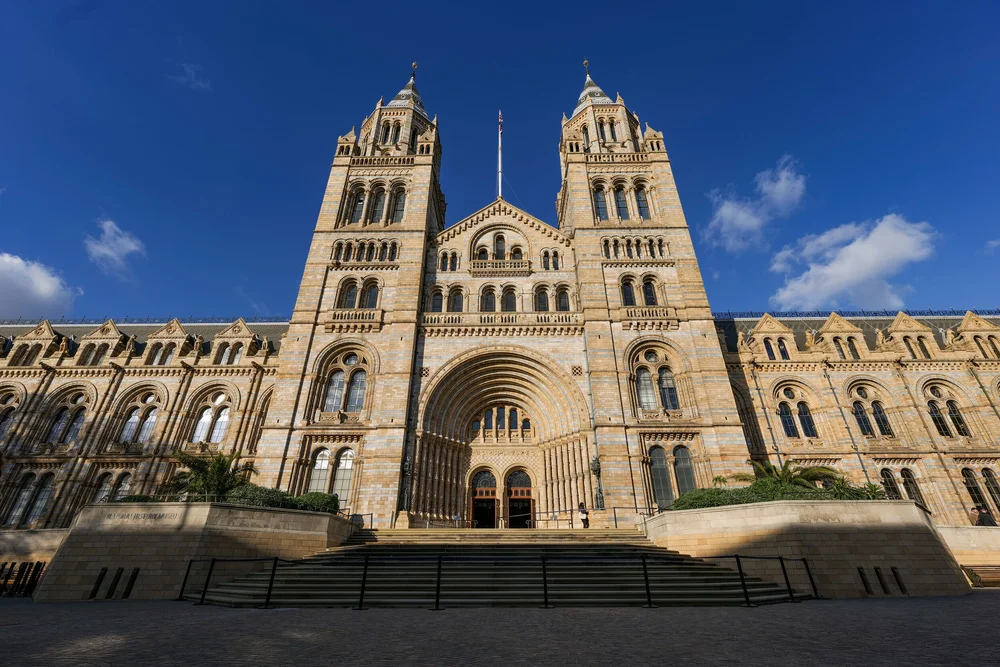 04 November 14-36-56.jpeg