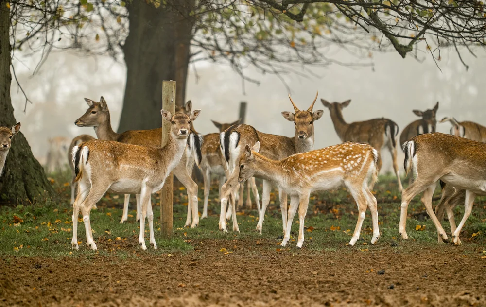 08 November 11-52-52.jpeg