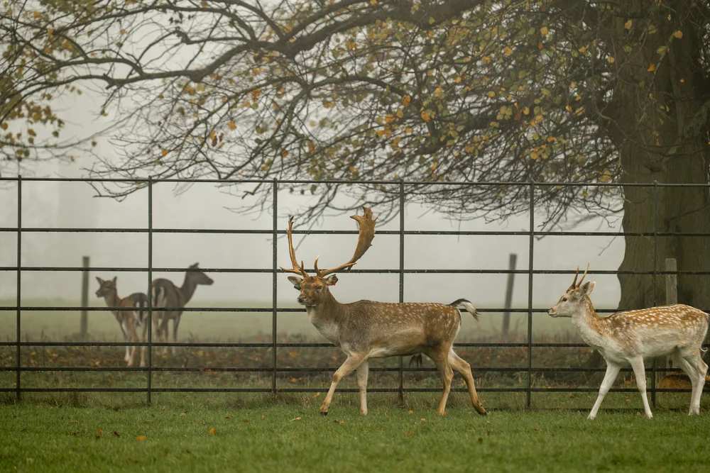 08 November 11-50-50.jpeg