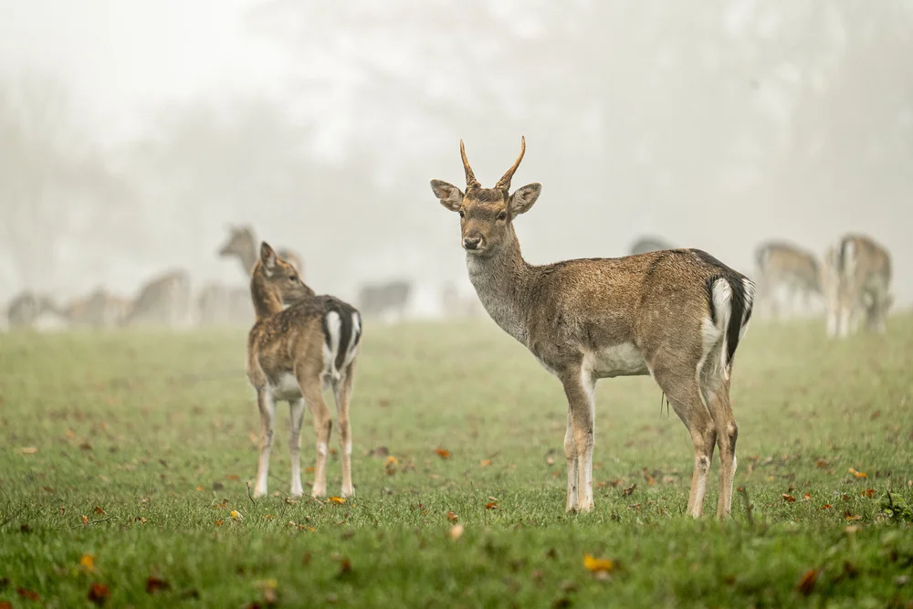 08 November 11-53-39.jpeg