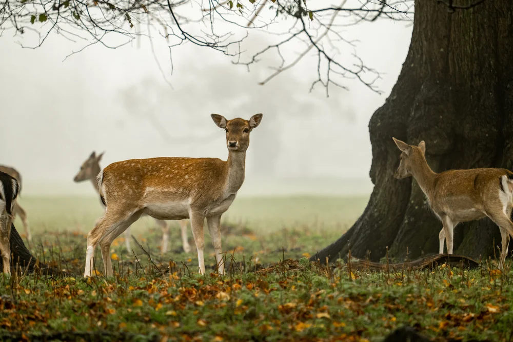 08 November 11-53-52.jpeg