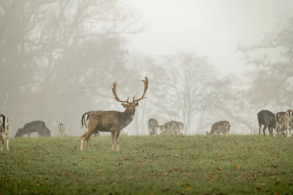 08 November 11-54-41.jpeg