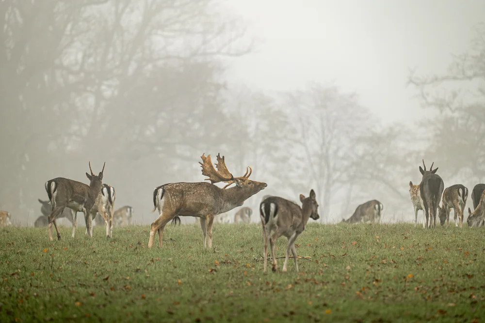 08 November 11-54-53.jpeg