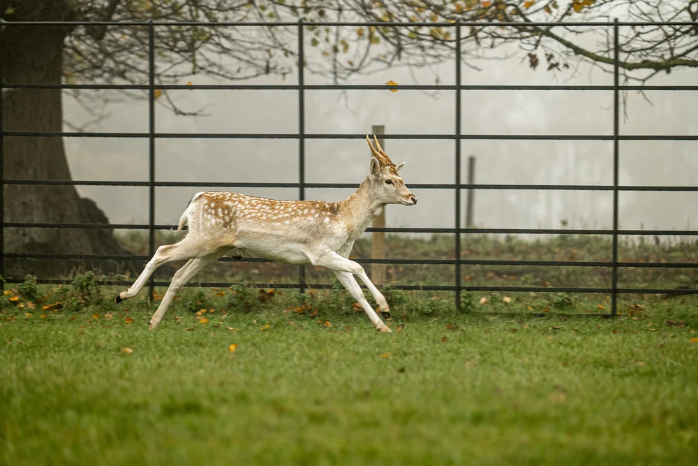 08 November 11-56-24.jpeg