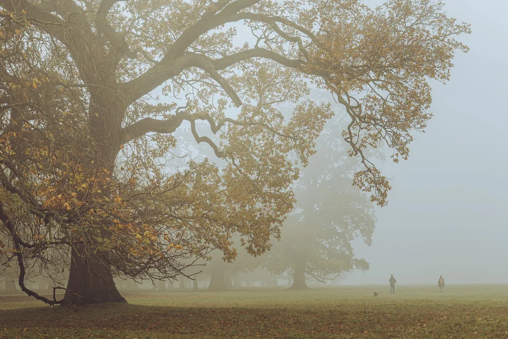 08 November 11-42-08.jpeg