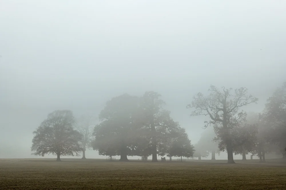 08 November 11-40-44.jpeg