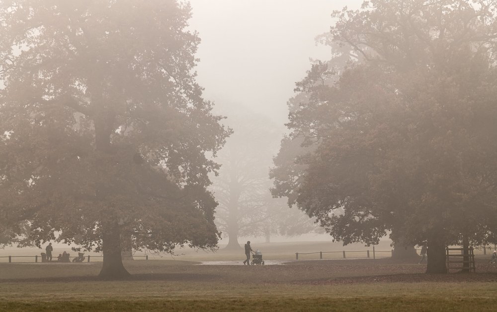 08 November 11-51-45.jpeg