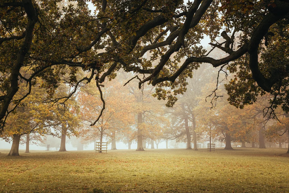 08 November 12-05-01.jpeg