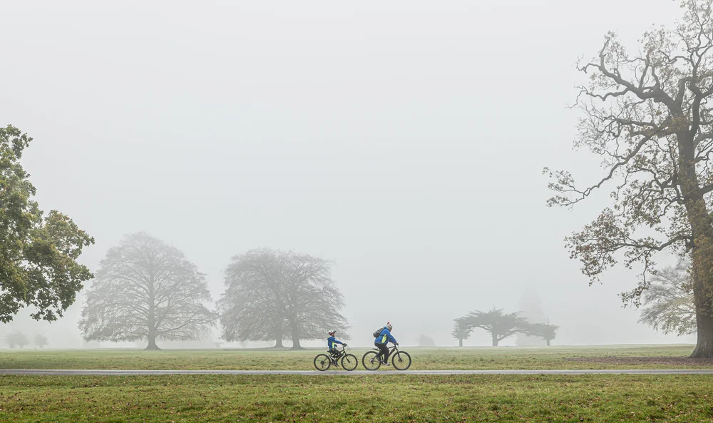 08 November 12-05-43.jpeg