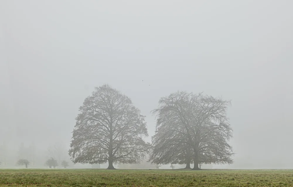 08 November 12-06-24.jpeg