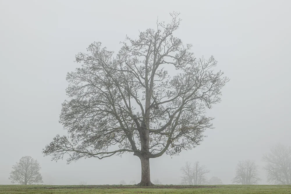 08 November 12-08-12.jpeg