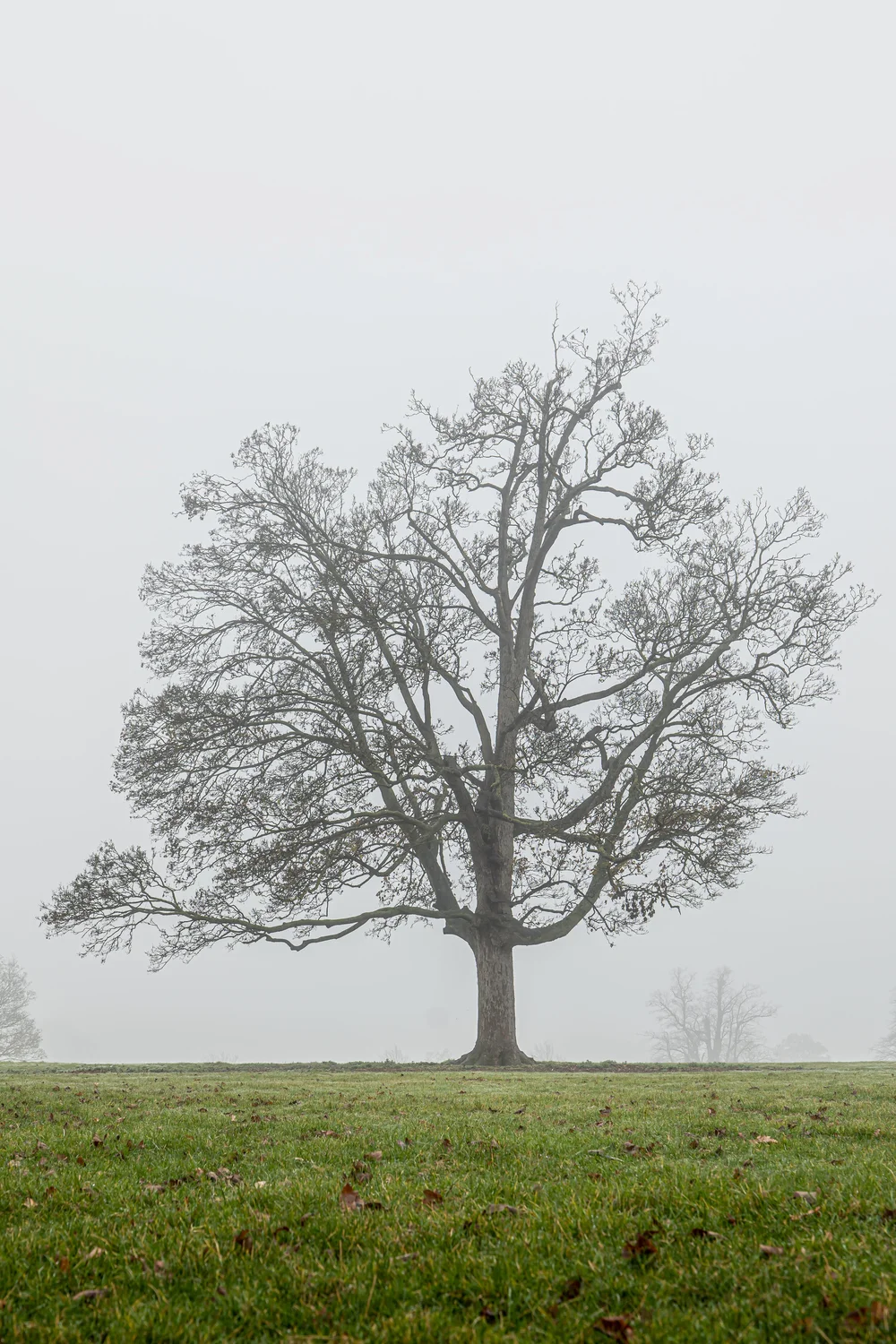 08 November 12-08-19.jpeg