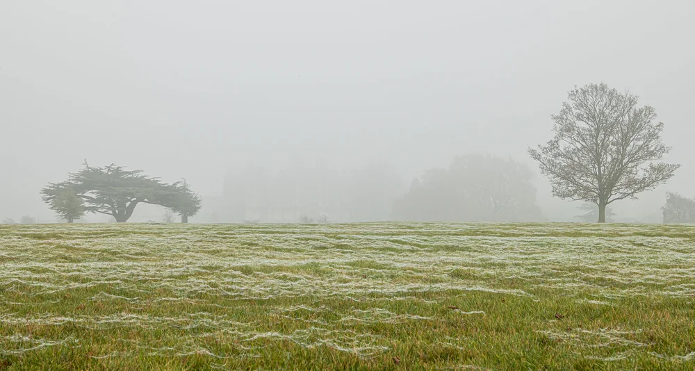 08 November 12-10-40.jpeg