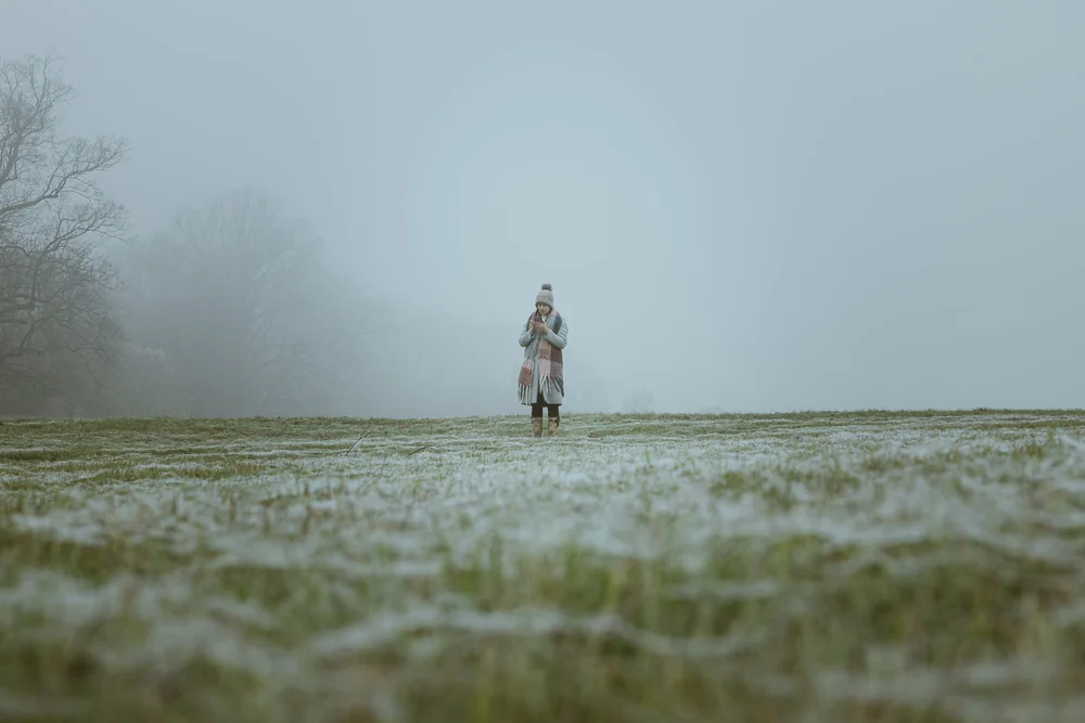 08 November 12-12-55.jpeg