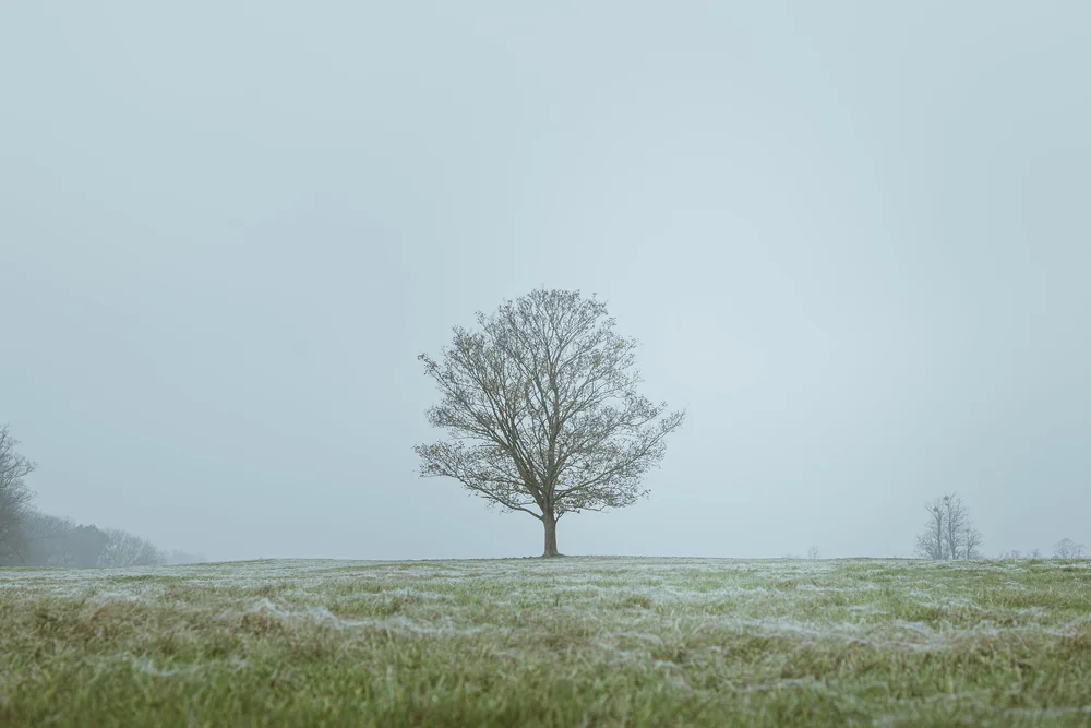 08 November 12-30-18.jpeg