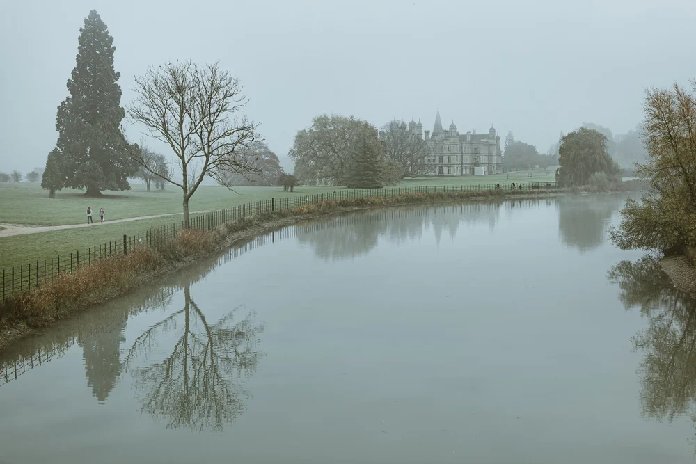 08 November 12-19-43.jpeg