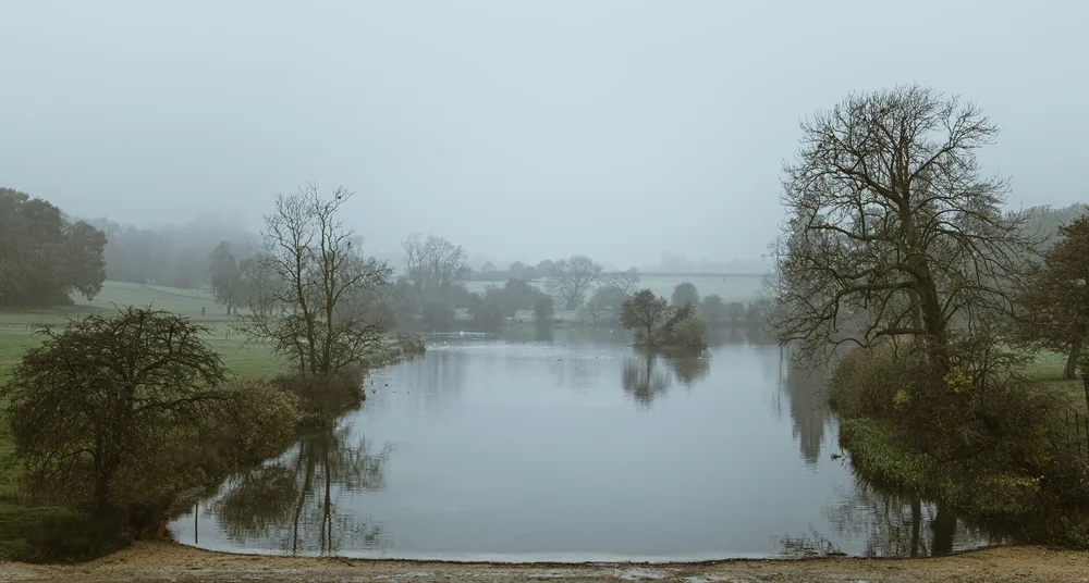 08 November 12-20-54.jpeg