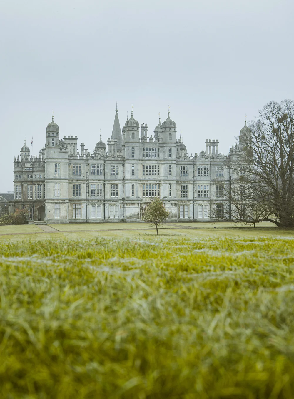 08 November 12-36-58.jpeg