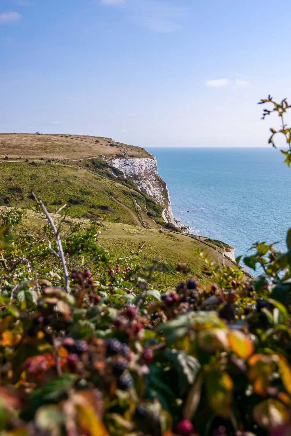 13 September 09-23-24 ALEX.jpeg