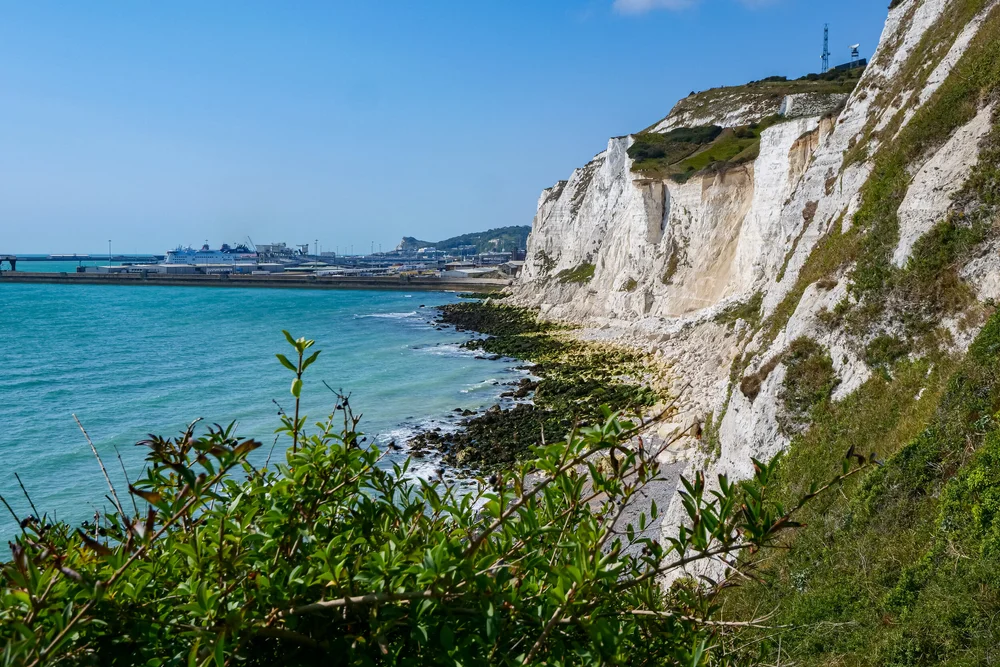 13 September 11-21-50 ALEX.jpeg