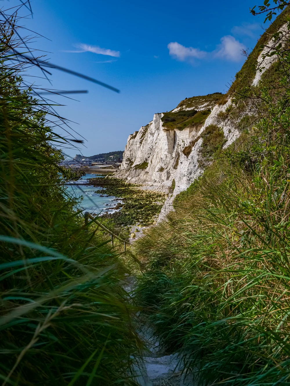 13 September 11-22-17 ALEX.jpeg