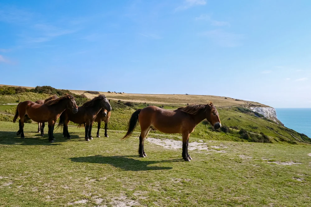 13 September 09-26-20 ALEX.jpeg